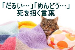 体がだるい!眠い!食欲不振!… …動けない対処法