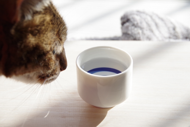 キッチンドリンカー止めたい